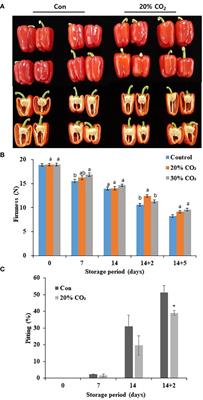 Carbon dioxide treatment modulates phosphatidic acid signaling and stress response to improve chilling tolerance and postharvest quality in paprika